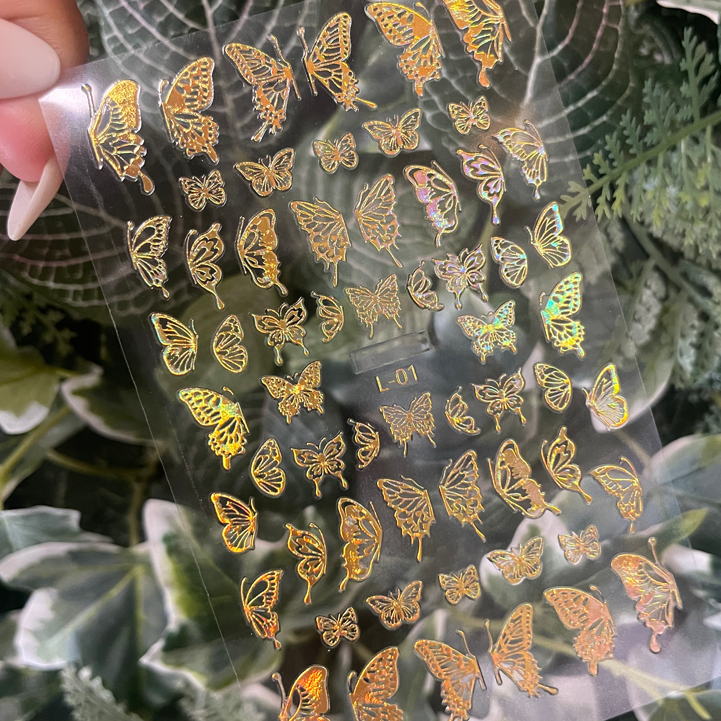 Butterfly sticker L01